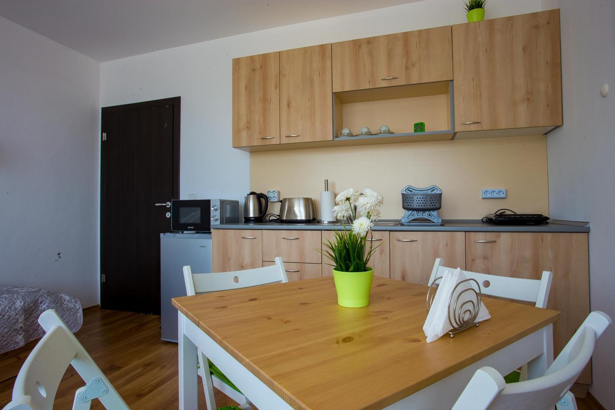 Apartment Iva - Iglika 2 Borovec Kültér fotó