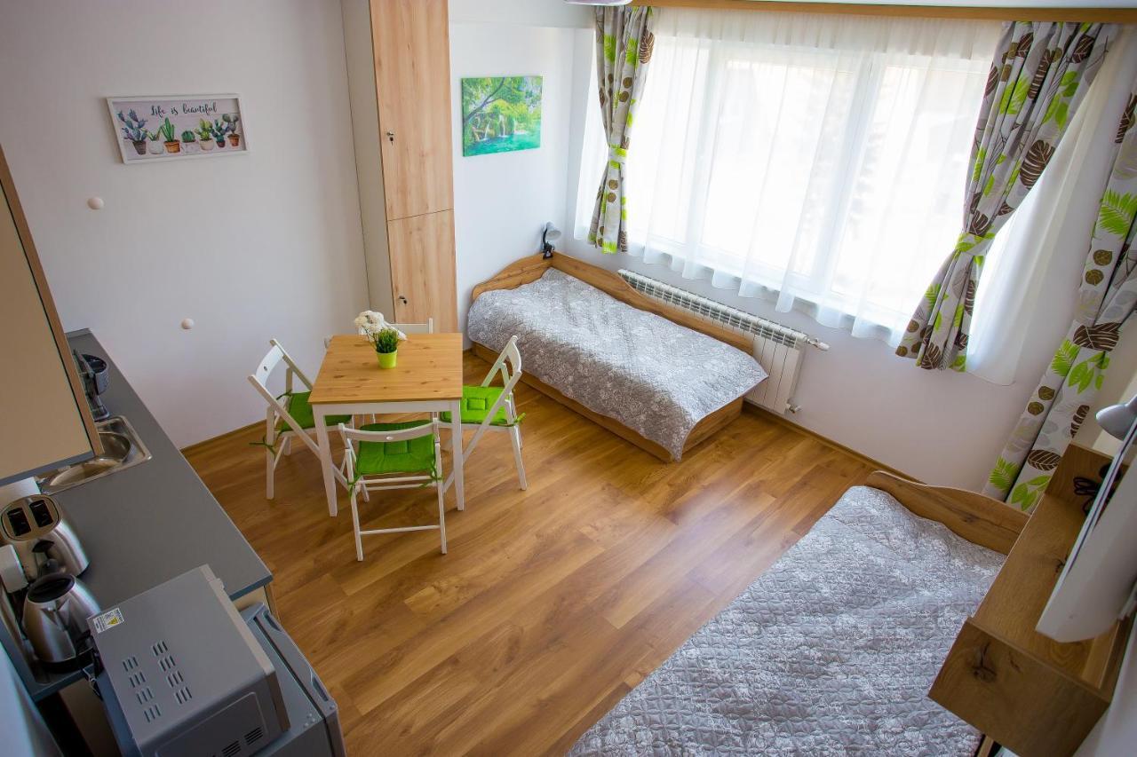 Apartment Iva - Iglika 2 Borovec Kültér fotó