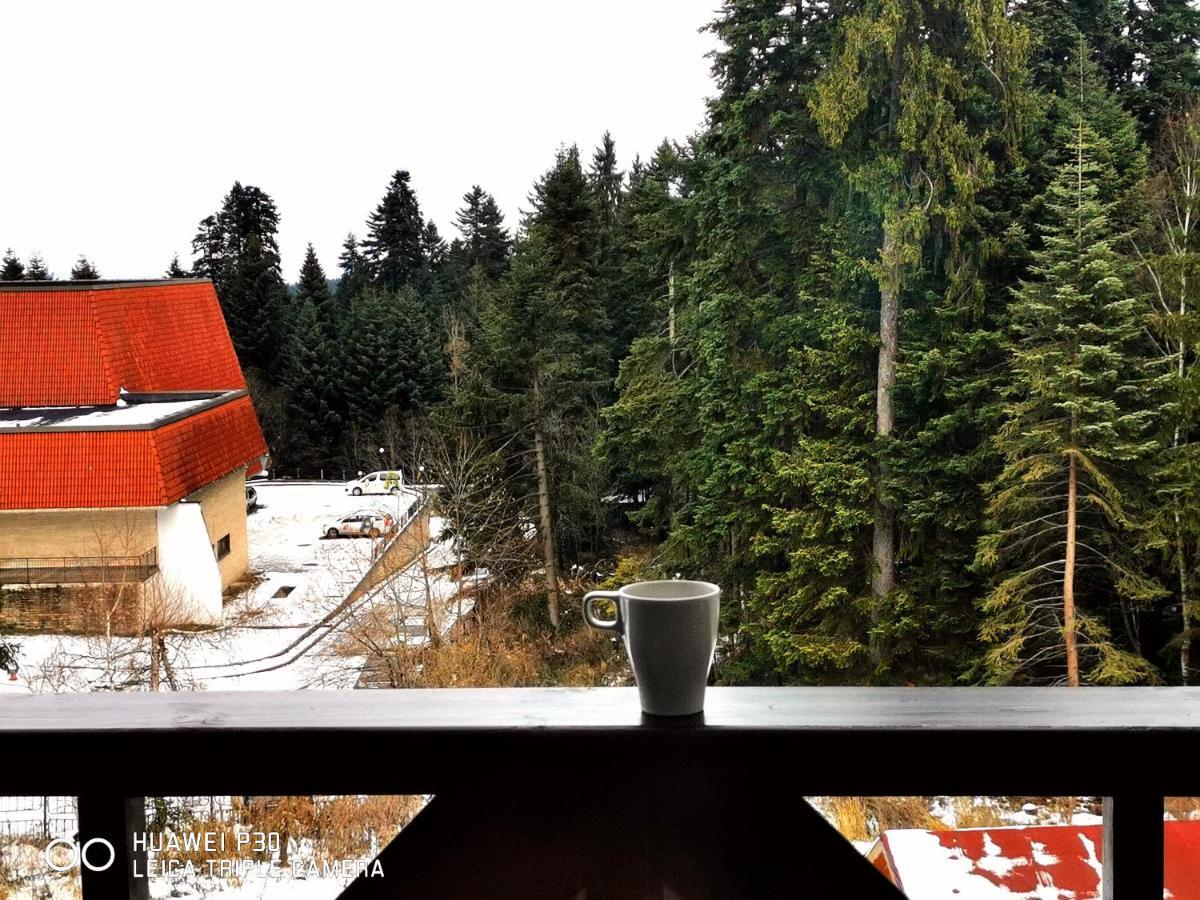 Apartment Iva - Iglika 2 Borovec Kültér fotó